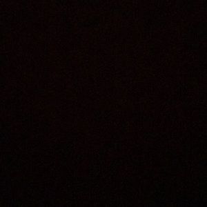 Meet your Posher, Hugo